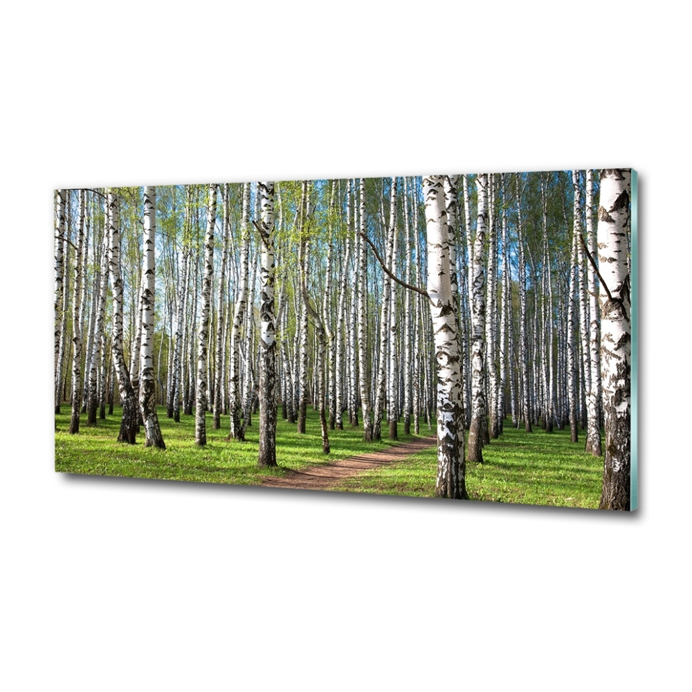 Wall art on glass Birch forest