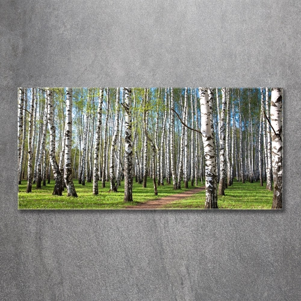 Wall art on glass Birch forest