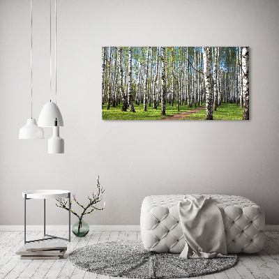 Wall art on glass Birch forest