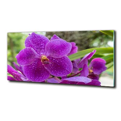 Glass art print Orchid