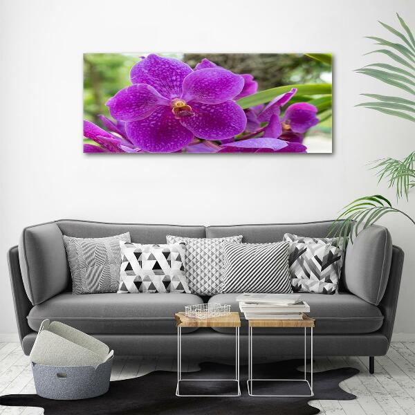 Glass art print Orchid