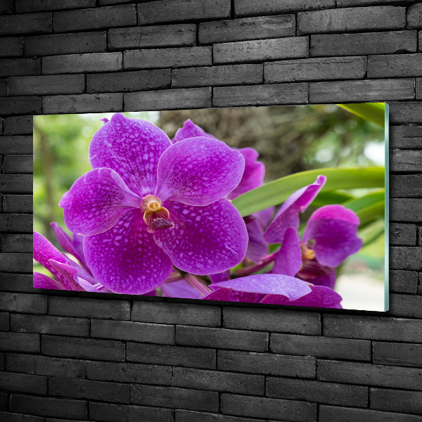 Glass art print Orchid