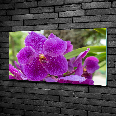 Glass art print Orchid