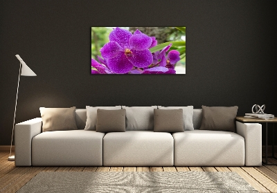 Glass art print Orchid