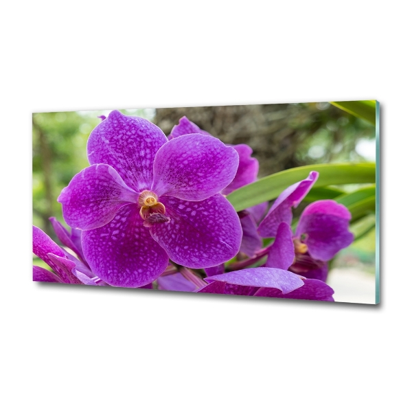 Glass art print Orchid