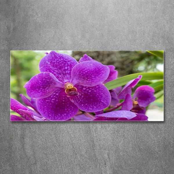 Glass art print Orchid