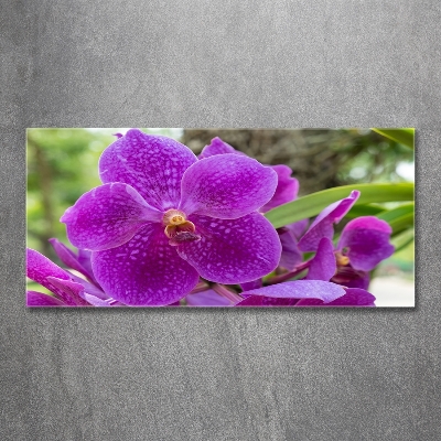 Glass art print Orchid