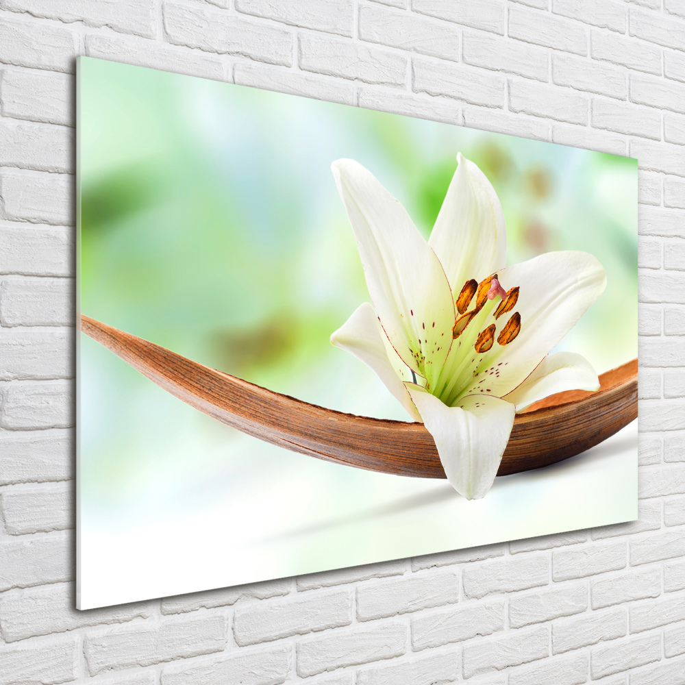 Wall art on glass Lily