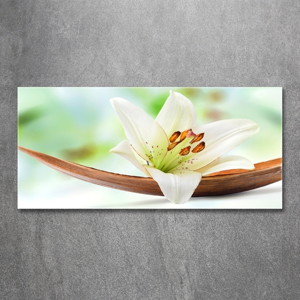 Wall art on glass Lily