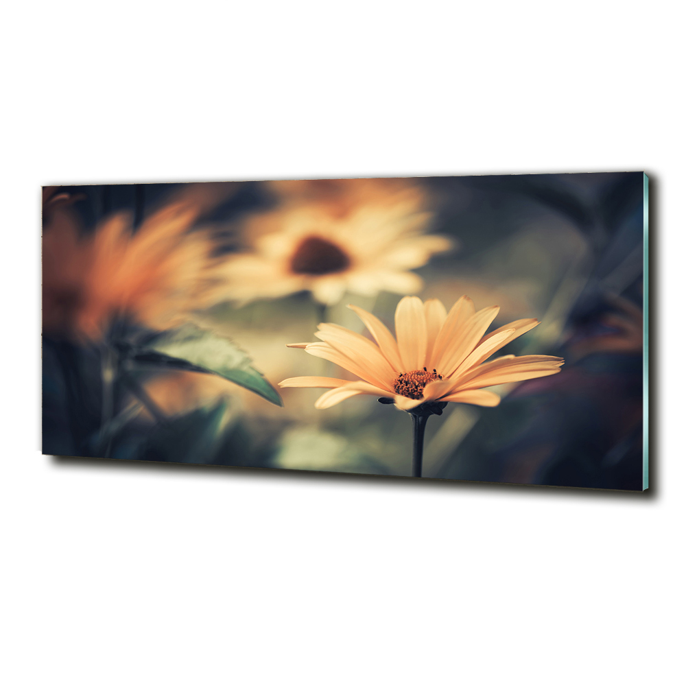 Wall art on glass Spring flower