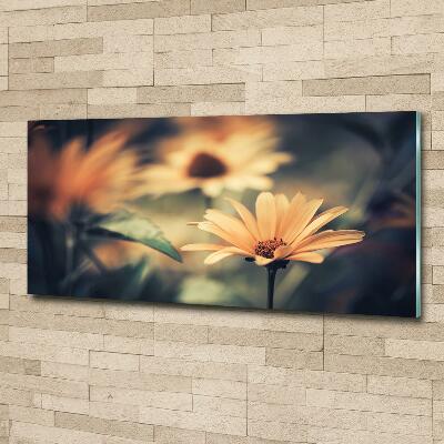 Wall art on glass Spring flower