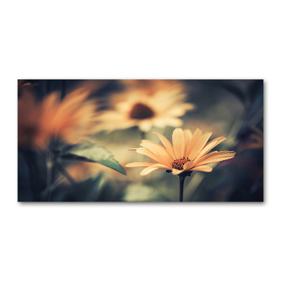 Wall art on glass Spring flower