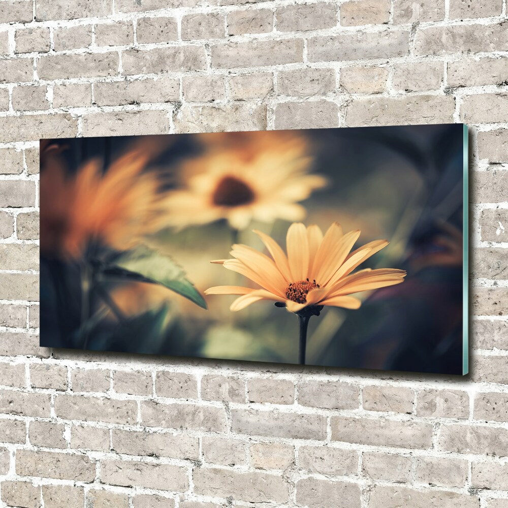 Wall art on glass Spring flower