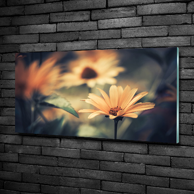 Wall art on glass Spring flower