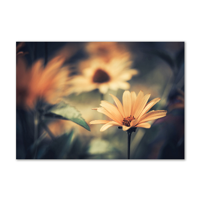 Wall art on glass Spring flower