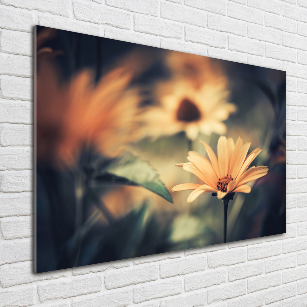 Wall art on glass Spring flower