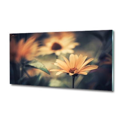 Wall art on glass Spring flower