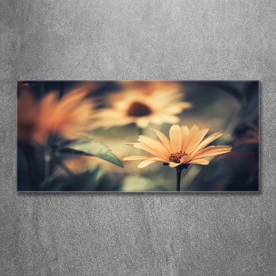 Wall art on glass Spring flower