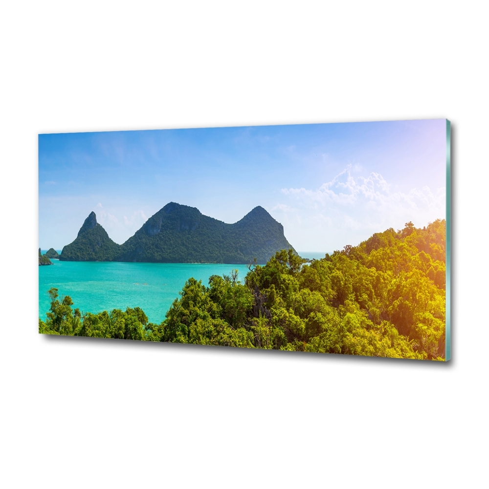 Wall art on glass Panorama thailand