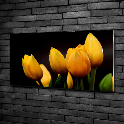 Glass art print Yellow tulips