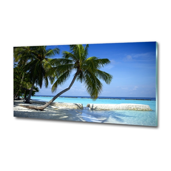 Wall art on glass Tropical beach