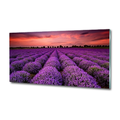 Wall art on glass Lavender field