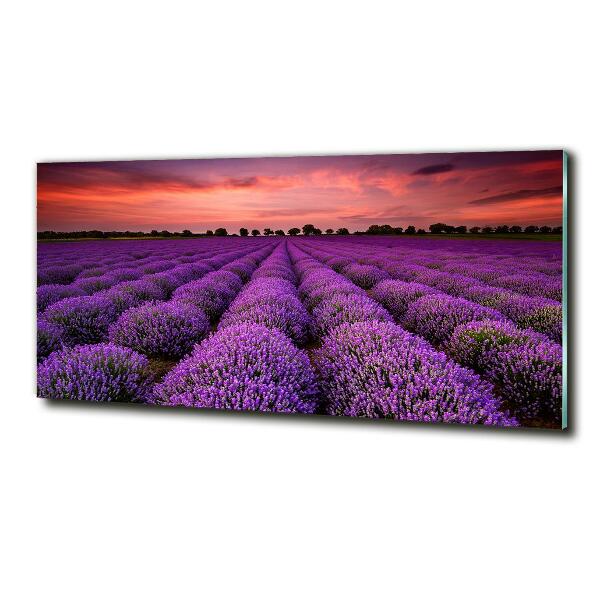 Wall art on glass Lavender field