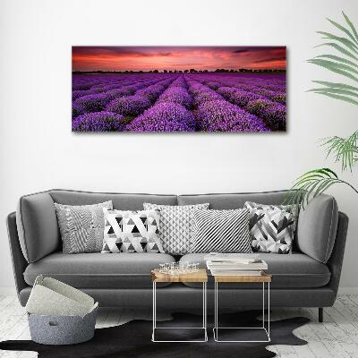 Wall art on glass Lavender field