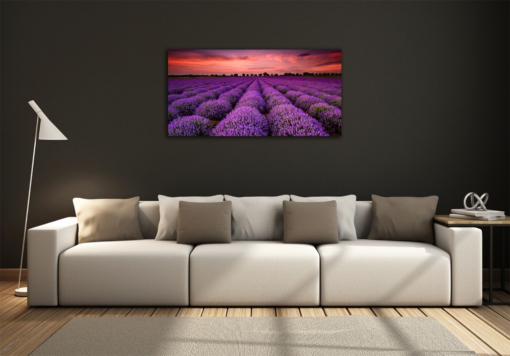 Wall art on glass Lavender field