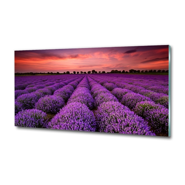 Wall art on glass Lavender field