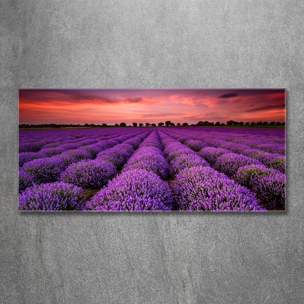 Wall art on glass Lavender field