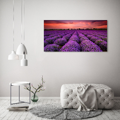 Wall art on glass Lavender field