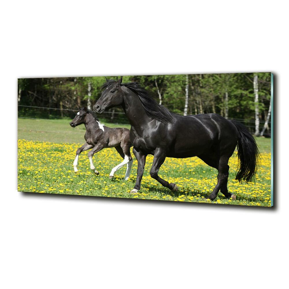 Glass wall art large Mare with foal