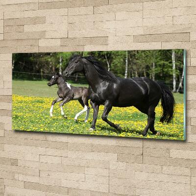 Glass wall art large Mare with foal