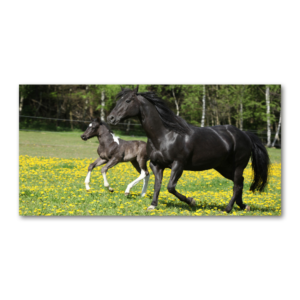 Glass wall art large Mare with foal