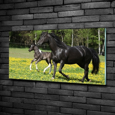 Glass wall art large Mare with foal