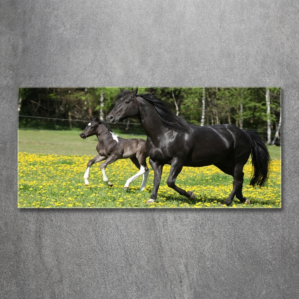 Glass wall art large Mare with foal