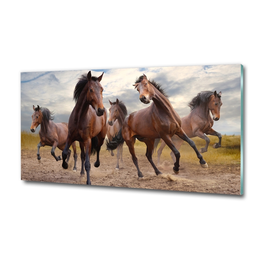 Glass wall art large Five horses