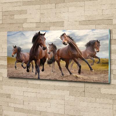 Glass wall art large Five horses