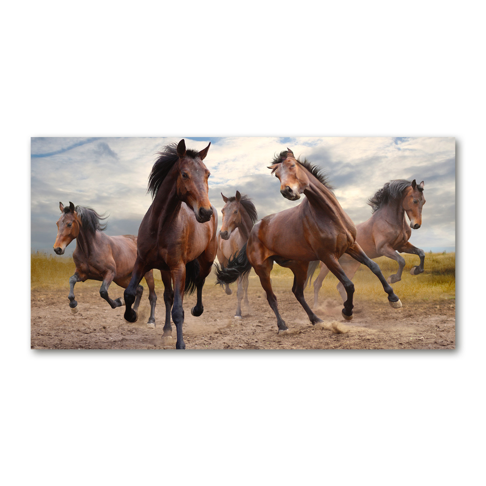 Glass wall art large Five horses