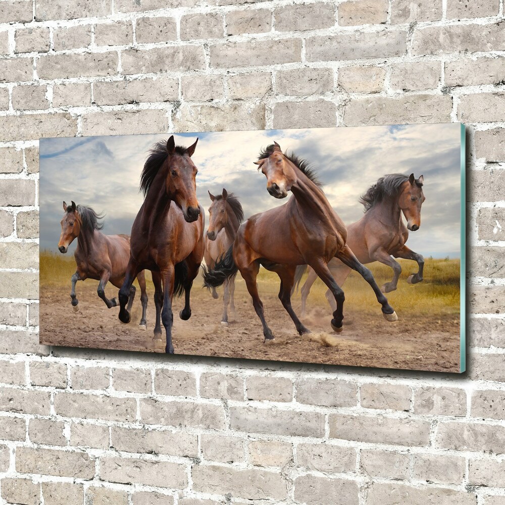 Glass wall art large Five horses