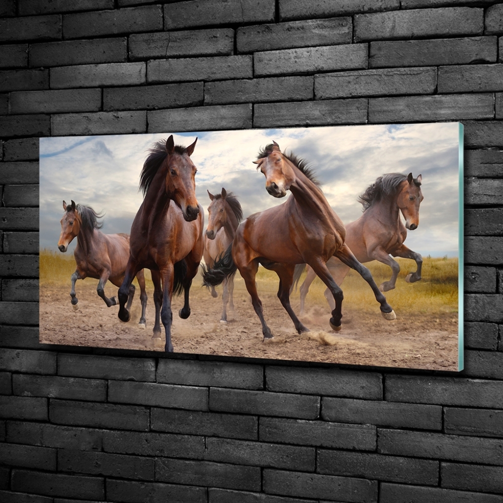 Glass wall art large Five horses