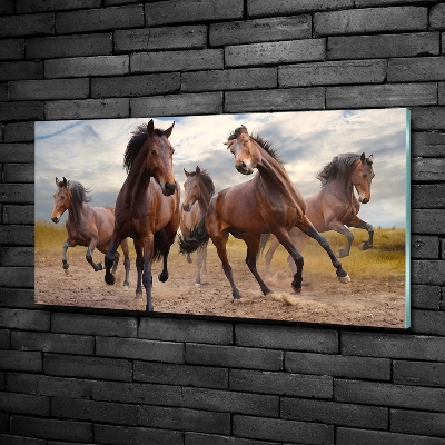 Glass wall art large Five horses