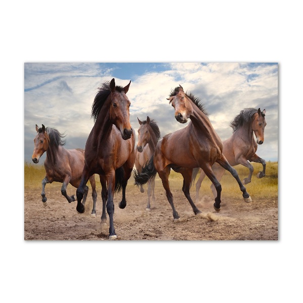 Glass wall art large Five horses