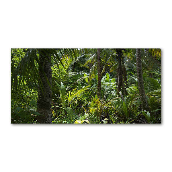 Wall art on glass Tropical forest