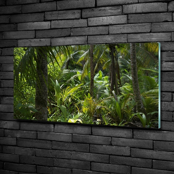 Wall art on glass Tropical forest