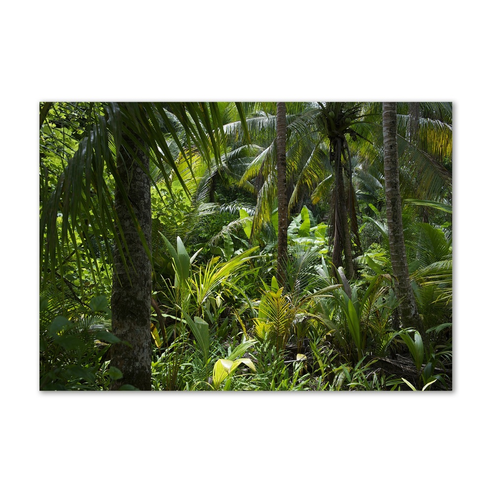 Wall art on glass Tropical forest