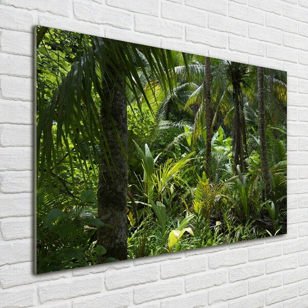 Wall art on glass Tropical forest