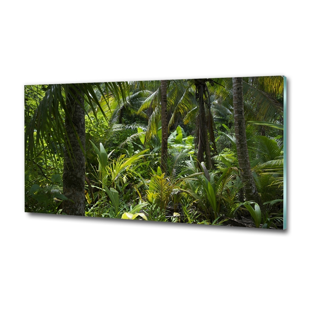 Wall art on glass Tropical forest