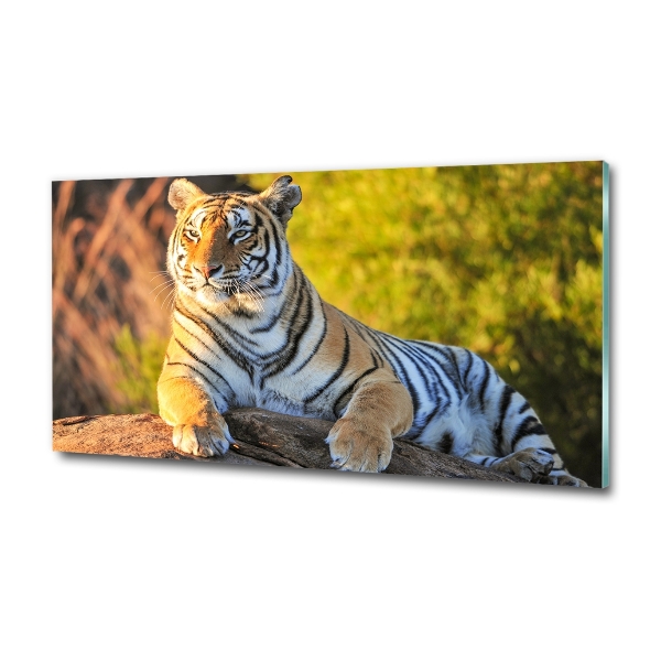 Glass wall art large Portrait of a tiger